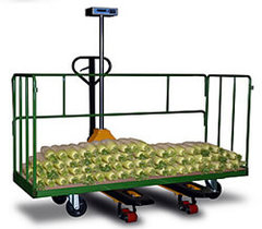 農産物選別大型ハンドパレットはかり/品番 MD36TB-600KG